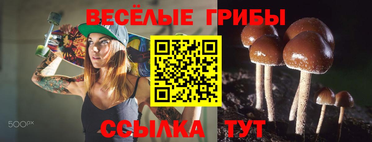 магазин    Псилоцибиновые грибы MAGIC MUSHROOMS  Вход с VPN  Котлас 
